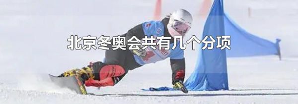 北京冬奥会共有几个分项