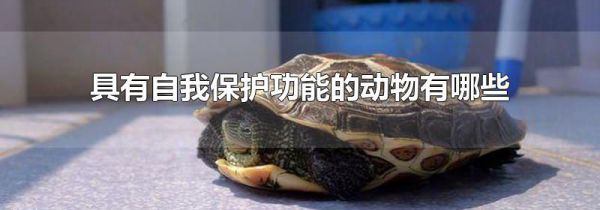 具有自我保护功能的动物有哪些
