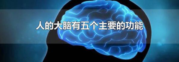 人的大脑有五个主要的功能