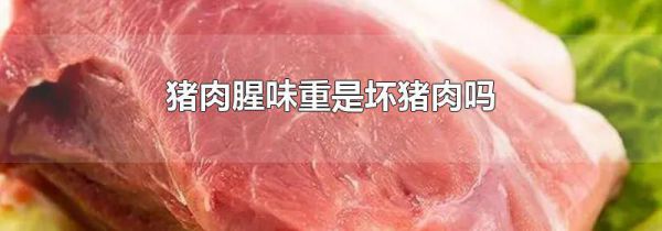猪肉腥味重是坏猪肉吗