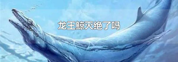 龙王鲸灭绝了吗