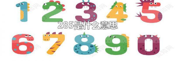 285是什么意思