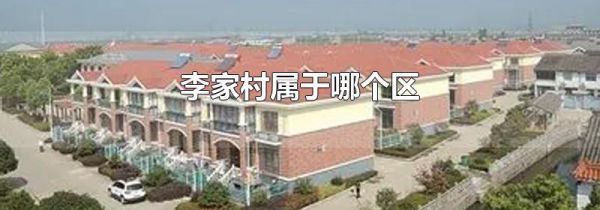 李家村属于哪个区