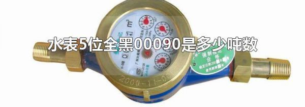 水表5位全黑00090是多少吨数