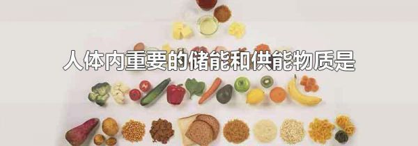 人体内重要的储能和供能物质是