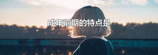 成年前期的特点是