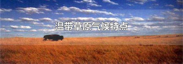 温带草原气候特点