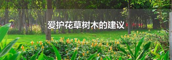 爱护花草树木的建议