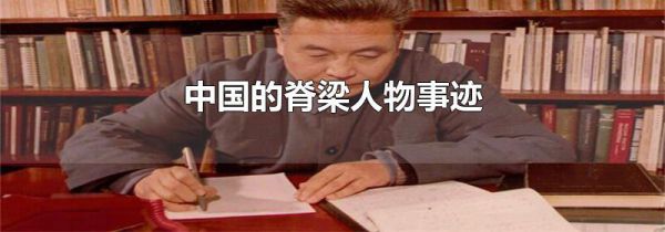 中国的脊梁人物事迹