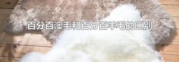 百分百澳毛和百分百羊毛的区别