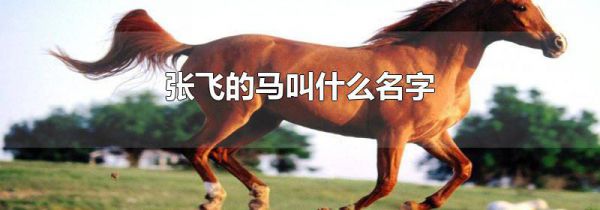 张飞的马叫什么名字