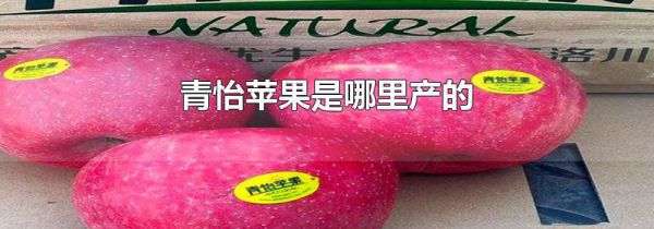 青怡苹果是哪里产的