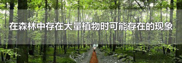 在森林中存在大量植物时可能存在的现象