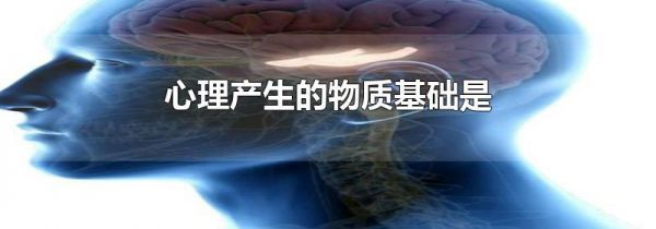 心理产生的物质基础是