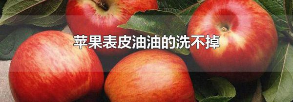 苹果表皮油油的洗不掉