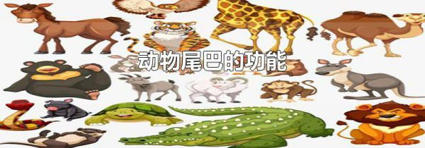 动物尾巴的功能