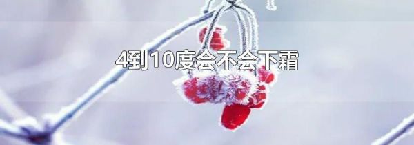 4到10度会不会下霜