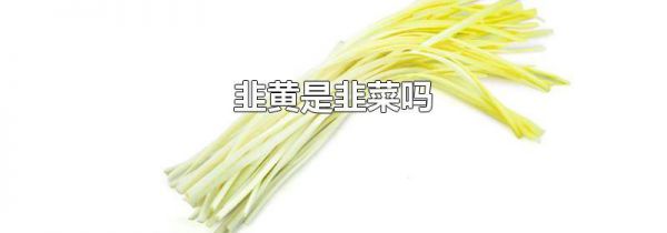 韭黄是韭菜吗