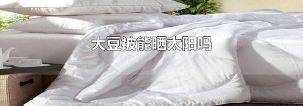 大豆被能晒太阳吗