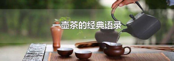 一壶茶的经典语录