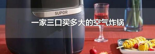 一家三口买多大的空气炸锅