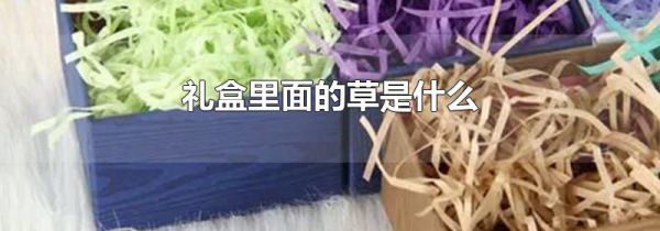 礼盒里面的草是什么