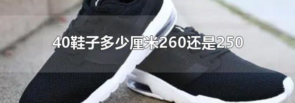 40鞋子多少厘米260还是250