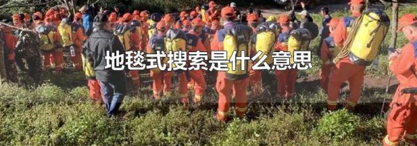 地毯式搜索是什么意思