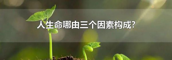 人生命哪由三个因素构成?