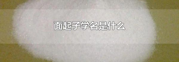 面起子学名是什么