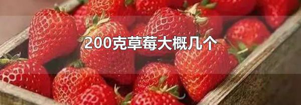 200克草莓大概几个