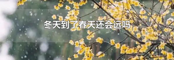 冬天到了春天还会远吗