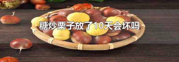 糖炒栗子放了10天会坏吗