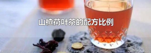 山楂荷叶茶的配方比例