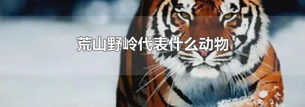 荒山野岭代表什么动物