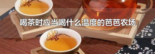喝茶时应当喝什么温度的芭芭农场