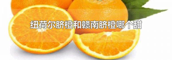 纽荷尔脐橙和赣南脐橙哪个甜