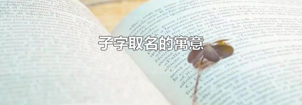子字取名的寓意