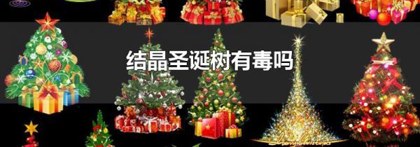 结晶圣诞树有毒吗