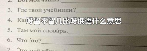 呀留不留几比呀俄语什么意思