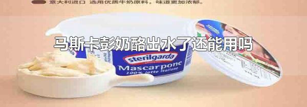 马斯卡彭奶酪出水了还能用吗
