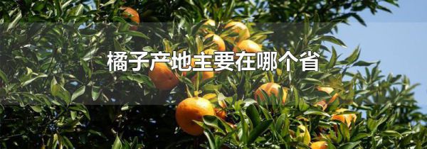 橘子产地主要在哪个省