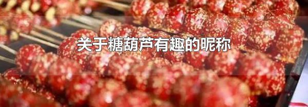 关于糖葫芦有趣的昵称