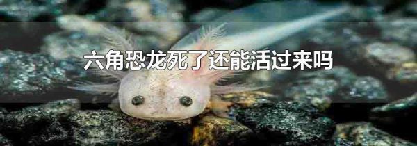 六角恐龙死了还能活过来吗