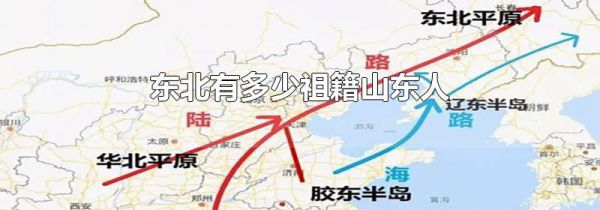 东北有多少祖籍山东人