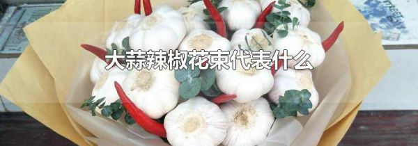 大蒜辣椒花束代表什么