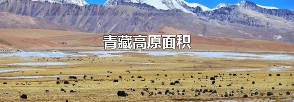 青藏高原面积