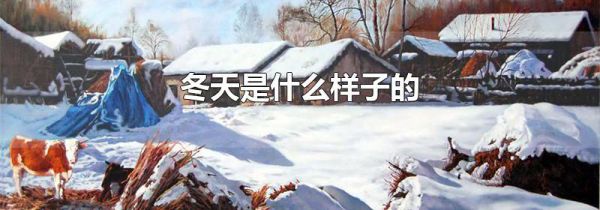 冬天是什么样子的