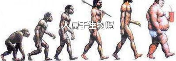 人属于生物吗