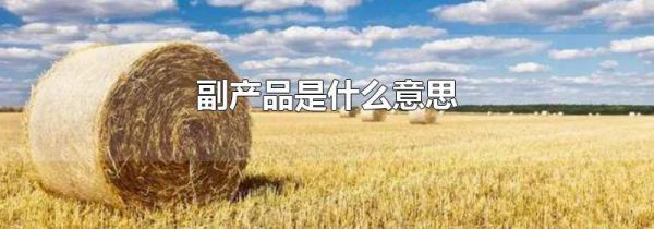 副产品是什么意思